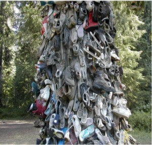what_are_shoe_trees